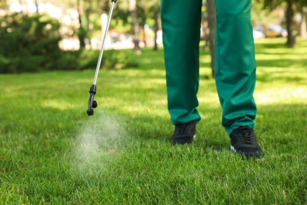 Best Termite Control Services  in Bonham, TX