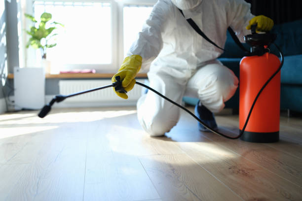 Wasp Removal Services in Bonham, TX