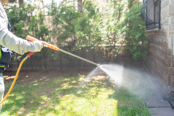 Best Bed Bug Extermination  in Bonham, TX