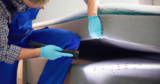 Best Flea Control Services  in Bonham, TX